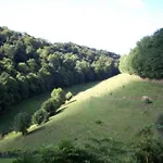 Peaceful Near *