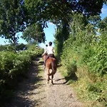 Peaceful Near