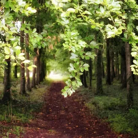 Сasa de vacaciones Cosy With Private Garden In Normandy Isigny-le-Buat