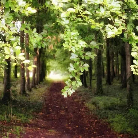 Σπίτι διακοπών Peaceful Near