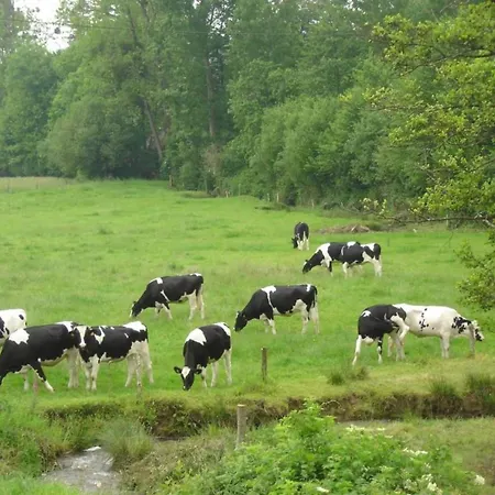 Peaceful Near * Isigny-le-Buat