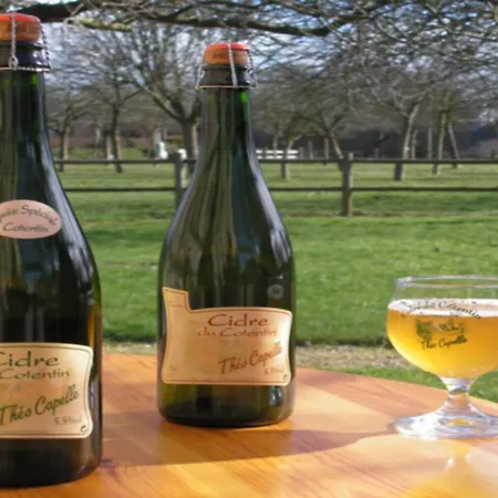 Peaceful Near Σπίτι διακοπών Isigny-le-Buat