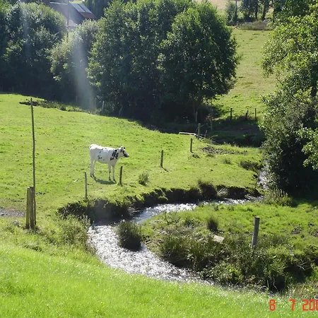 Peaceful Near * Isigny-le-Buat