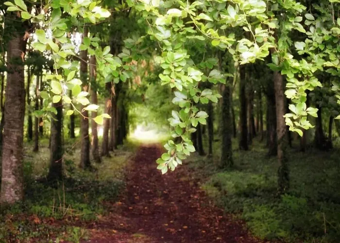 Сasa de vacaciones Peaceful Near