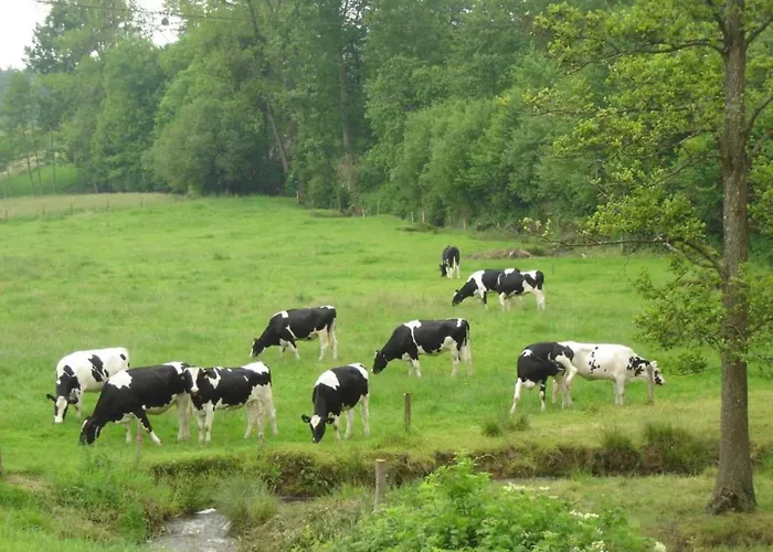 Peaceful Near * Isigny-le-Buat