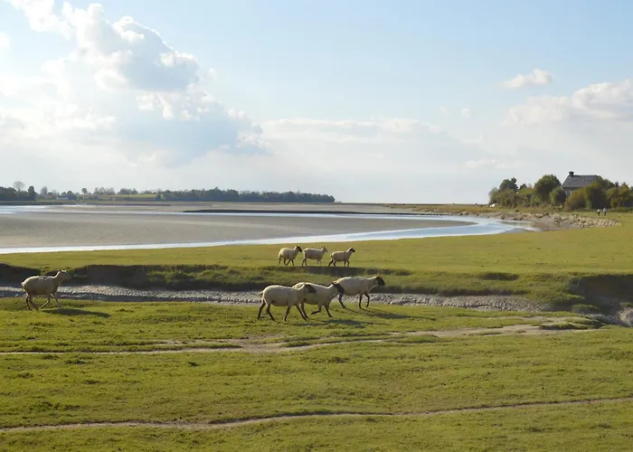 Peaceful Near Сasa de vacaciones Isigny-le-Buat